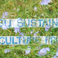 A hand-painted sign of the GVSU Sustainable Agriculture Project in a backdrop of purple flowers